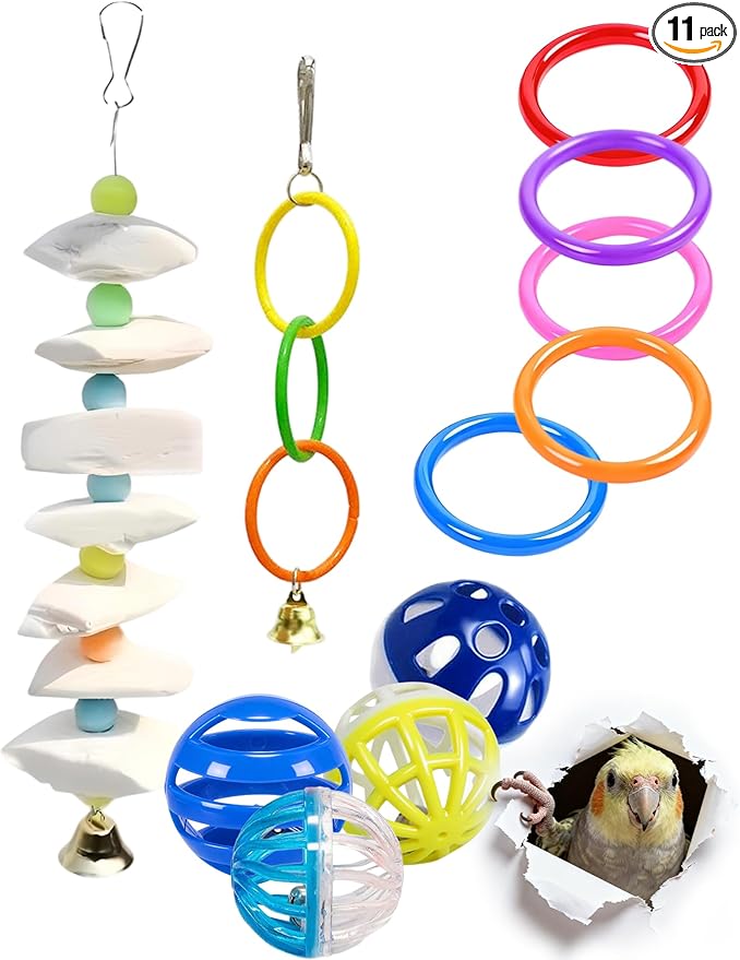 11 Pcs Bird Toys for Parakeets - Natural Cuttlefish Bone Calcium Chew Toys with Bells for Budgies, Lovebirds & Small Birds