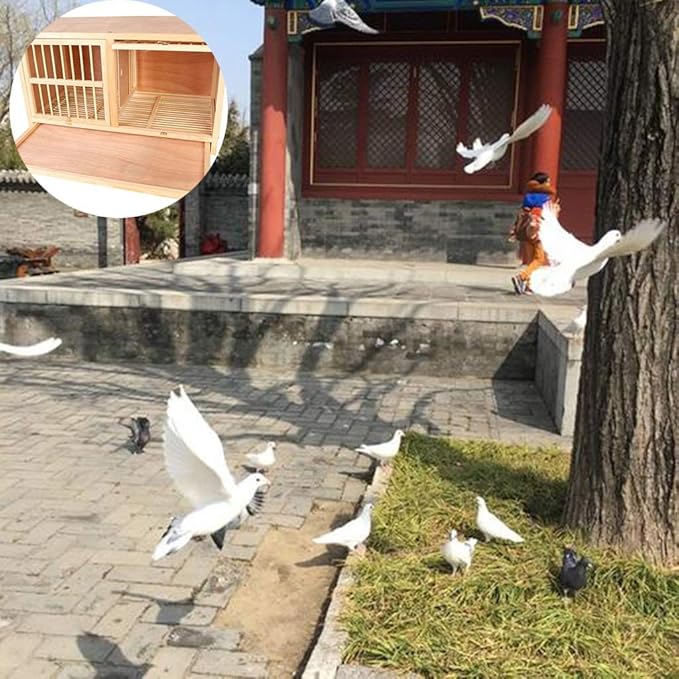 Bird cage Solid Wood Nest Box Pigeon Pairing Cage Pigeon Racing Homing Pigeon Nest Pigeon Supplies The Design of The Door Rotating Door Bolt (Color : Brown, Size : 904550 cm)