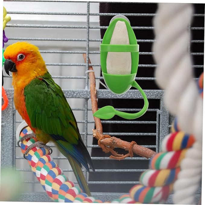 BESPORTBLE 1set Cage Bird Feeder Cuttlebone Stand Bird Cage Accessories for Parrots Snails and Pets Safe Non- Design for Easy Feeding and Entertainment