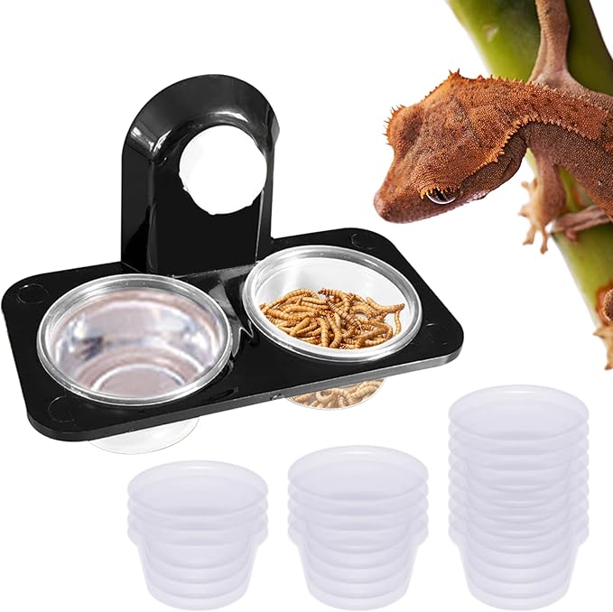 Crested Gecko Dual Feeding Ledge, Space Saving, Maximizes Floor Area, Feed Betta Fish Bloodworm, Window Bird Feeder, 20 Reusable Transparent Food and Water Cups