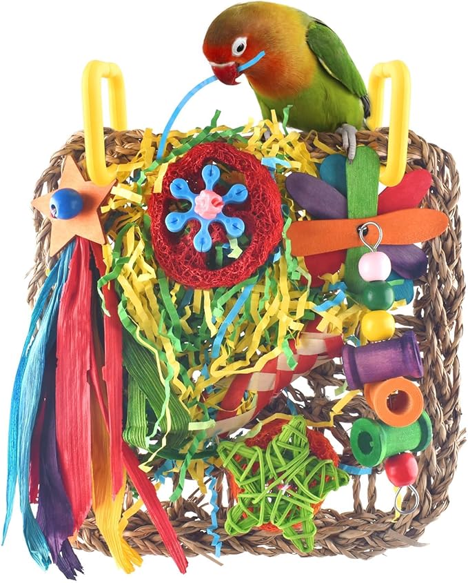 ERKOON Cockatiel Toys, Budgie Toys Foraging Toy Hanging Bird Toy for Lovebrid Parakeets Conures Parrot Foraging Wall with Colorful for Birds Shredding Seagrass, Birds Cage Accessories-2 Pack