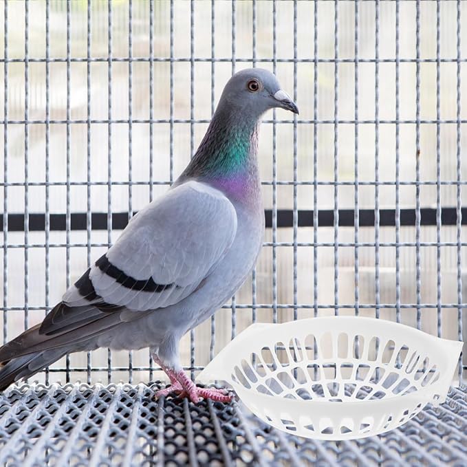 Yardwe Breeding Bird Nest Bowl 9.64X9.64X1.77In Plastic Egg Laying Basin with Mesh Bottom for Parrots Pigeons Pet Supplies Durable Washable Cage Accessory 10 Pack