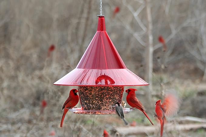 Sky Cafe Squirrel Proof Bird Feeder for Outside - Very Large, 17 in. Diameter, 1.5 Gallon Birdseed Capacity - Made in USA (Ruby Red) - Free Squirrel Mug
