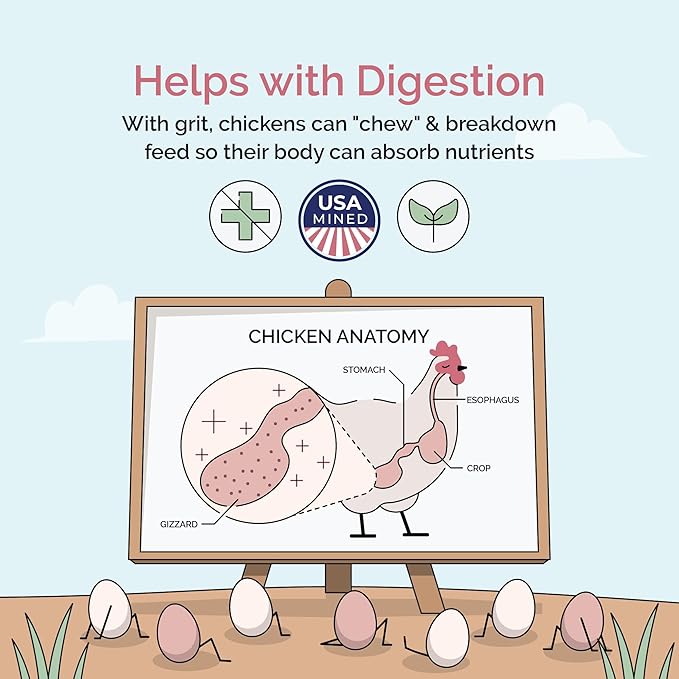 Mile Four Chick Grit for Baby Chicks - Chickens Age 0-8 Weeks, 100% Natural Mineral Chick Grit Quartzite, Poultry Grit Digestive Aid, USA Mined, 4 lbs