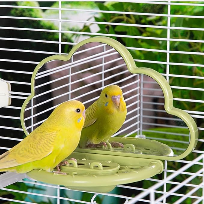 septillar Bird Mirror with Perch Stand, Bird Toys for Parakeet Cockatiel Conure Lovebirds Finch Canaries (Green)