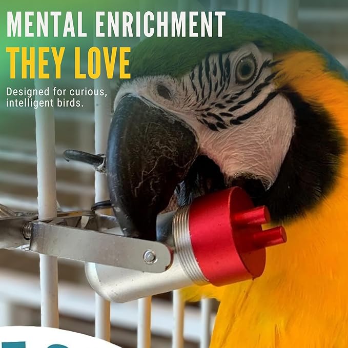 Bird Toys (Goodie Gadget) Treat Dispenser | Parrot Foraging | Bird Puzzle Feeder | Large Bird Toys | Durable Cage Accessory to Promote Natural Foraging Behavior for Parrots, Cockatiel, Parakeets