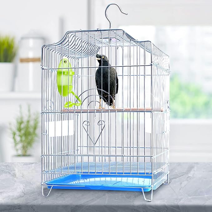 2Pcs Plastic Cuttlebone Holder Bird Feeding Cup Rack - Fruit & Gnawing Accessories for Bird Cage & Parrot