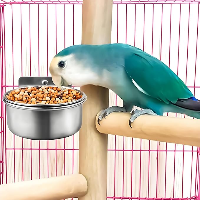 Parrot Feeding Cups Stainless Steel Bird Cage Feeder & Water Bowl - Chew-Proof Food Bowls with Clamp Holder for Parrot, Cockatiel, Conure, Budgie, Macaw, and Small Animals (L-1Pc)