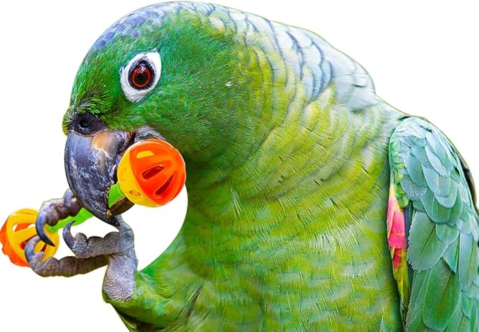 DQITJ 4 Pack Bird Barbell Dumbell Foot Toy for Small Bird Parrot Green Cheek Parakeet Cockatiel Conure Love Birds
