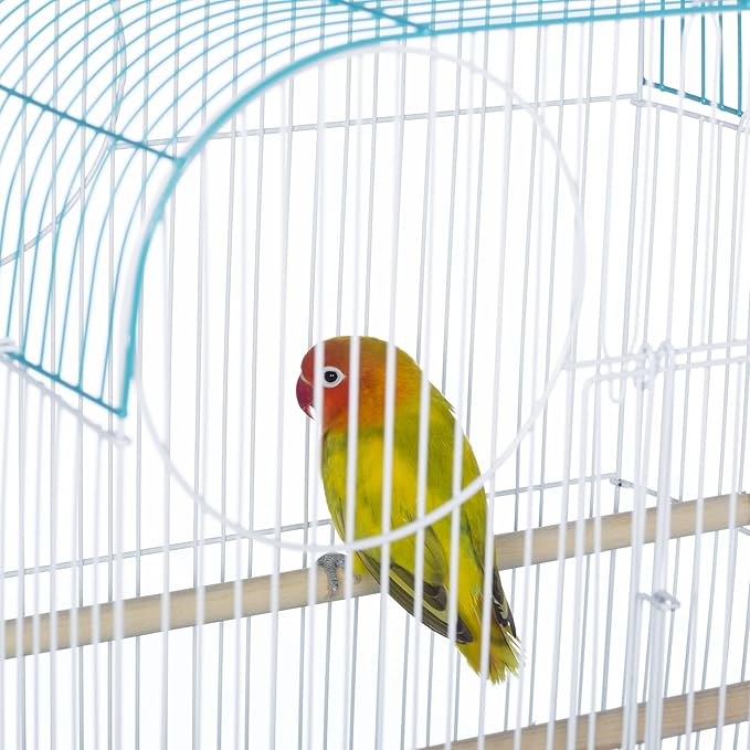 Prevue Pet Products South Beach Flat Top Bird Cage - Ideal for Finches, Canaries, Budgies, and Similarly Sized Birds, Minimal Assembly, Made of Powder-Coated Steel Wire Mesh - Teal