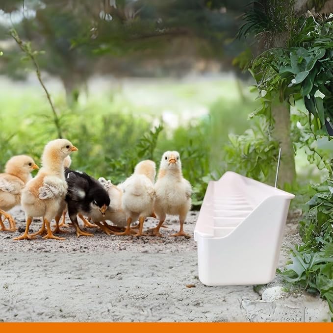 2GR White Bird Feeder with Removable Grill 2 Pack - Clean Feeding Solution for Cages and Aviaries with No Mess for Canaries, Lovebirds, Cockatiels, Parakeets and Small Parrots