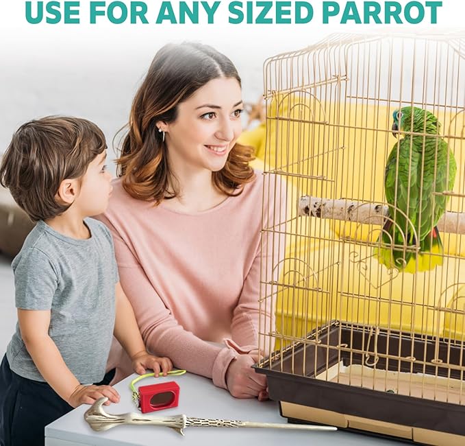 Parrot Training Clicker with Target Stick, Getting Started Bird Clicker Training Kit, All Bird Breeds Training Stick Foster Discipline and Behavior Training, for Parrots Birds Lovers