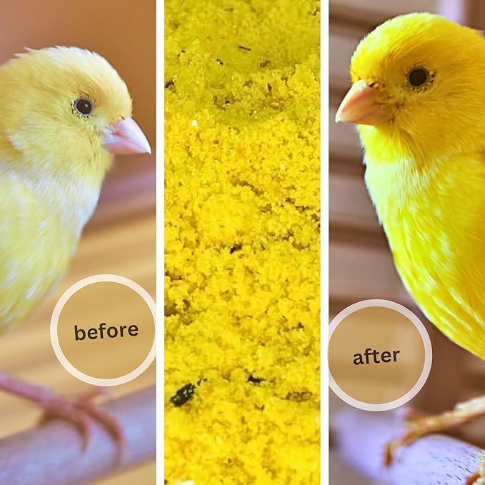 Raff Holland Cova Feed for Yellow Factor Bird - Soft Food Supplement with Vitamine for Seed-Eating Birds, Ideal for Canaries, Goldfinches, and Small Exotic Birds (5Lb)
