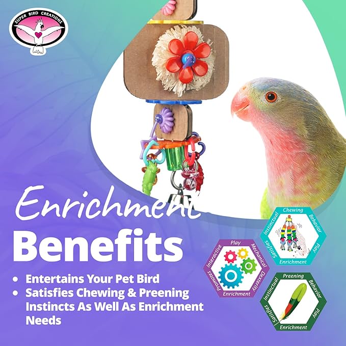 Super Bird Creations SB1090 Nibbles 'N Chips Bird Toy - Interactive Chew & Preening for Small to Medium Birds - Parrotlets Parakeets Cockatiel - Colorful Beads Chips & Corn Husk Chews - 8.5"x3"x1.5"