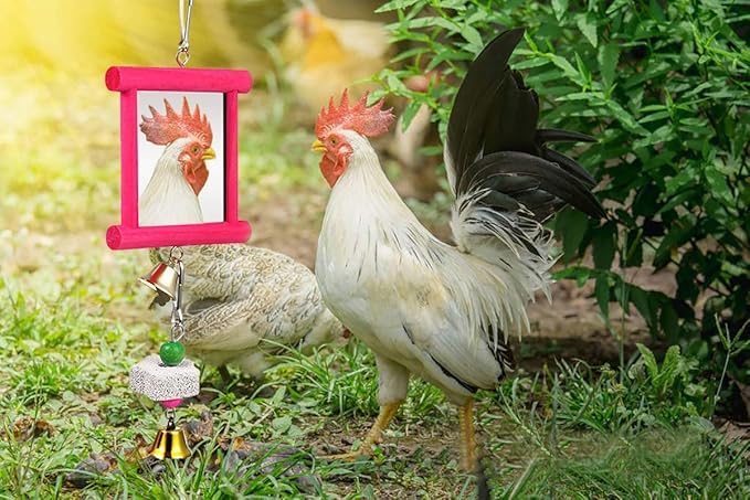 2Pcs Chicken Mirror Toys for Hens Hanging Swing Mirror Toys with Bells and Beak Grinding Molar Stones for Roosters Hens Birds Parrots (Yellow and Red)
