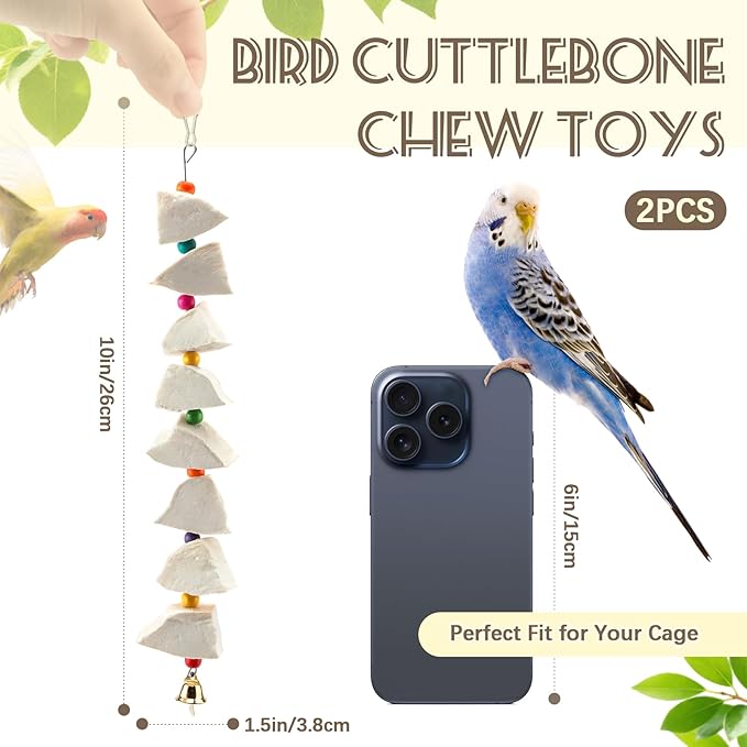 2 Pack Bird Cuttlebone Chew Toys, Natural Cuttlefish Bone for Birds Beak Grinding & Calcium Supplement, Hanging Cage Accessories for Small Medium Birds (2, Chunky Blocks)