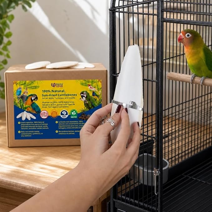 Birds LOVE 3.5-4″ Cuttlebone for Birds – 100% Natural Sun-Dried Calcium & Beak Conditioning Supplement for Parakeets, Budgies, Cockatiels, Finches & Canaries – 2 Pack with Holder – Made in Vietnam