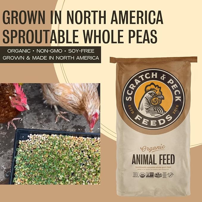 Scratch and Peck Whole Peas Chicken, Duck and Livestock Supplemental Grain - 20% Protein, Certified Organic and Non-GMO Project Verified Chicken Food - 40 lbs Bag