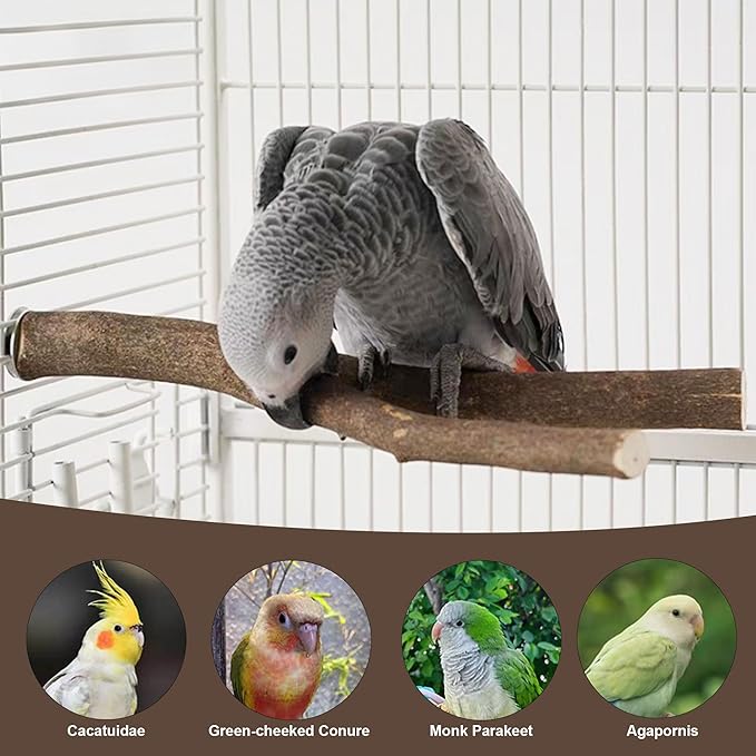 8 PCS Bird Perch Set, Natural Birch Wood Straight & Forked Perches with Platforms for Parakeets, Cockatiels, Conures, Lovebirds - Cage Accessories for Climbing & Exercise