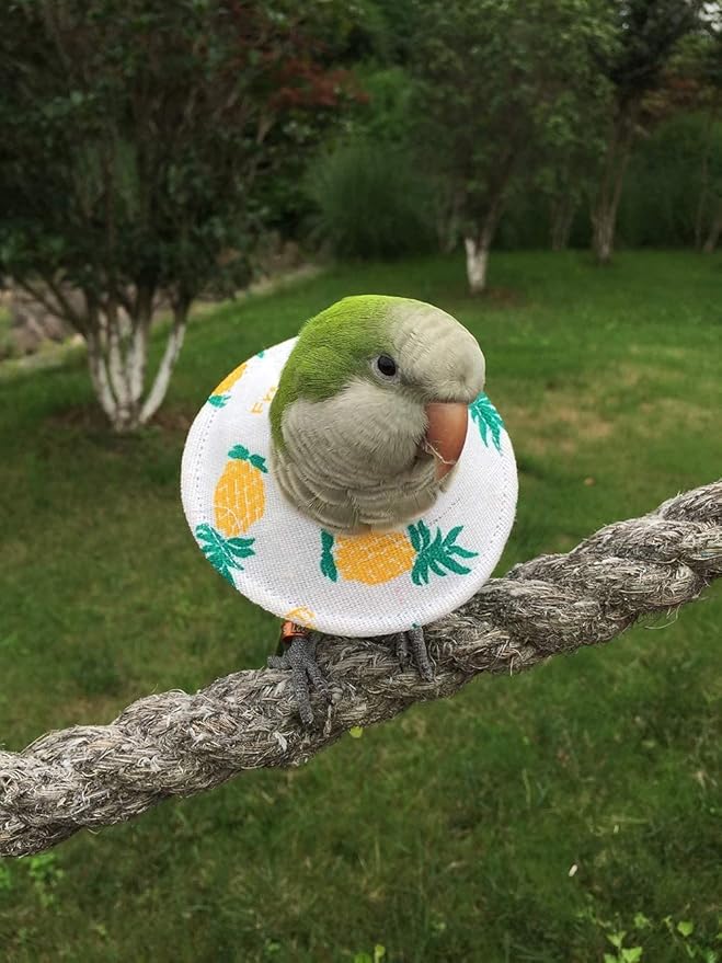 Bird Collars,Adjustable Recovery Collar Parrot Elizabeth Collar for Feather Plucking Feather Protector Shield with Soft Padded Cotton Neck Cone Anti-bite Anti-Licking Wound Healing (4XL,Pineapple)