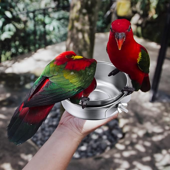 Aoriher 4 Pack Large Bird Feeding Dish Cups 30 oz Stainless Steel Parrot Feeders Food Water Cage Bowls with Clamp Holder for Cockatiel Conure Budgies Parakeet Macaw Small Dog Cat Animal