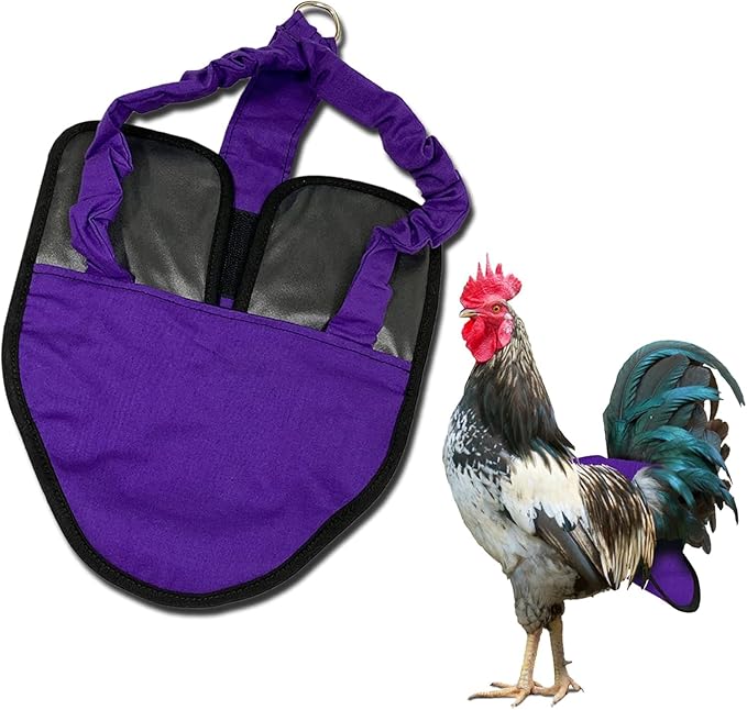 Hen Holster Premium Starter Kit - Bird Diaper, Wrap Around for Hens, Roosters, Ducks - Leak-Proof, Comfortable Bird Harness with Sewn-in Liner, Secure Hook & Loop Closure - XL, Purple