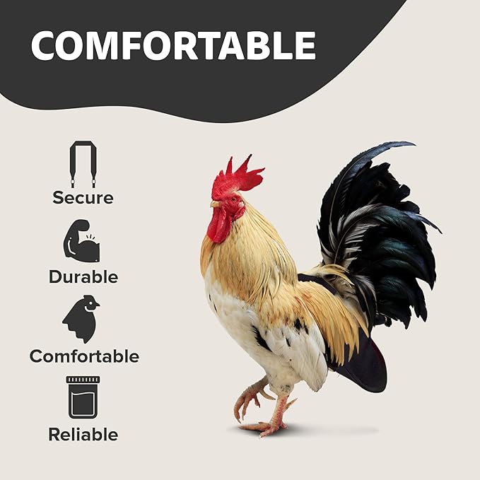 Hen Holster Premium Starter Kit - Bird Diaper, Wrap Around for Hens, Roosters, Ducks - Leak-Proof, Comfortable Bird Harness with Sewn-in Liner, Secure Hook & Loop Closure - S/M, Black