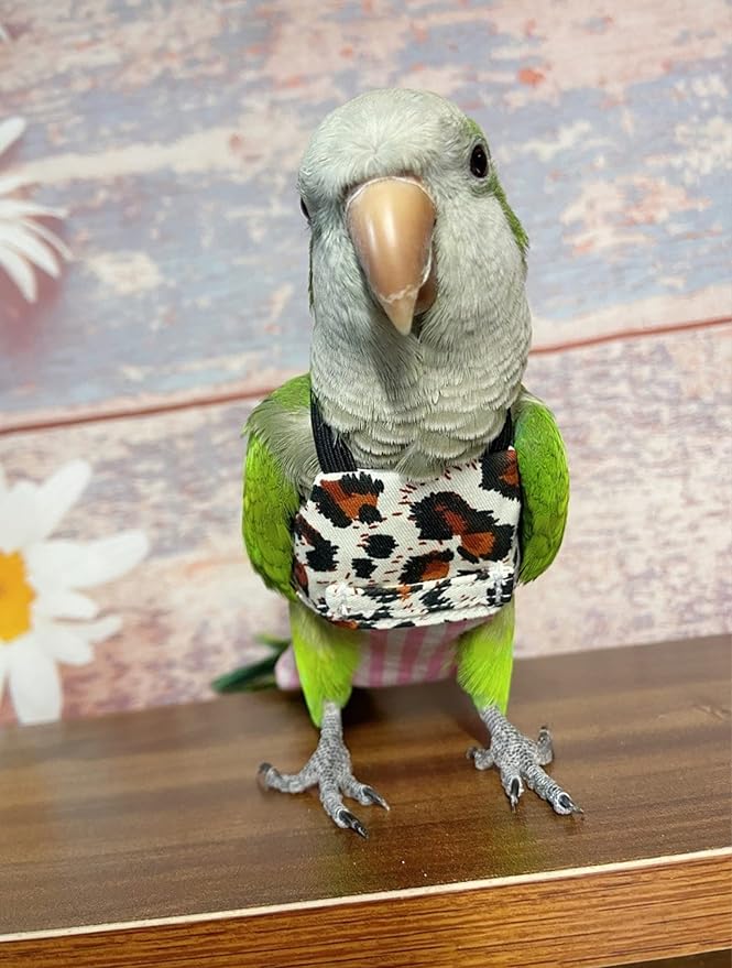 Bird Flight Harness Vest, Parrot Flight Suit for Cockatiels Conures Budgies, Bird Flying Clothes for Outdoor Activities Training