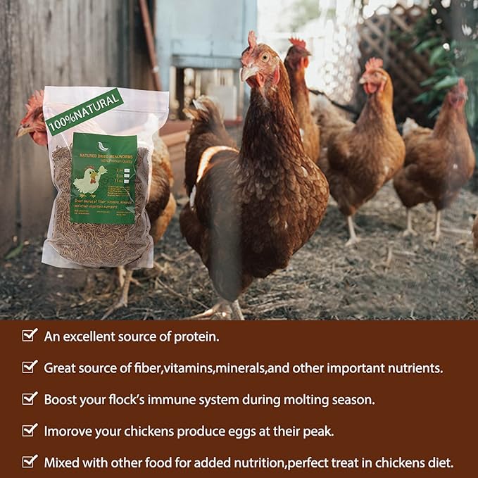 Non-GMO High-Protein Large Dried Mealworms for Chickens, Natural Grubs and Poultry Treats as Chicken Feed,Duck Food, Wild Birds Seed,Fish Food,Reptile Food,Amphibian Food(Mealworms-11LB)