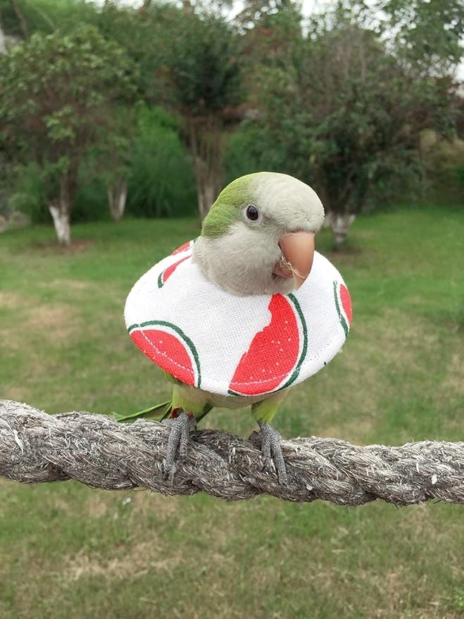 Bird Collars,Adjustable Recovery Collar Parrot Elizabeth Collar for Feather Plucking Feather Protector Shield with Soft Padded Cotton Neck Cone Anti-bite Anti-Licking Wound Healing (3XL,Watermelon)