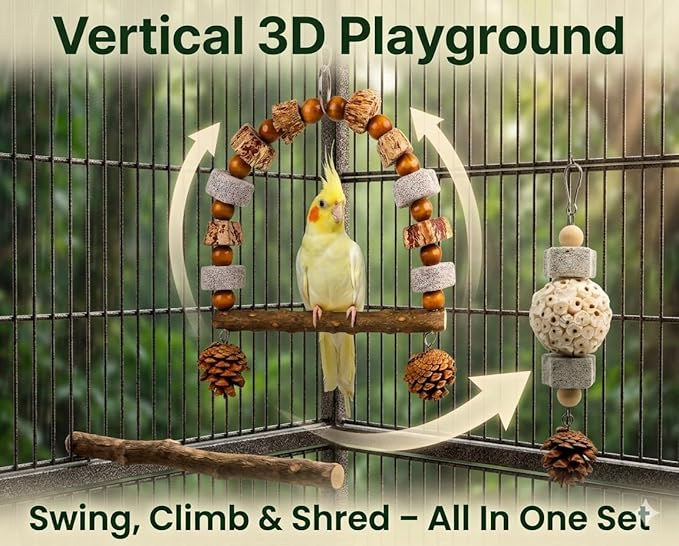 2 Pack Natural Bird Toys Set - Arch Wood Swing & Sola Ball Shreddable Toy - Foraging Hanging Perch with Pine Cones & Pumice Stone Beak Trimmer, Cage Accessories for Cockatiel, Conure, Parakeets