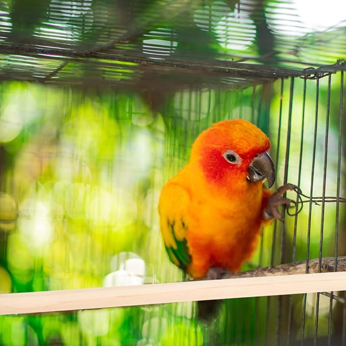 5pcs Wood Bird Perches, Parrot Cage Stand Pole Natural Wood Pet Bird Perch Stick Climbing Branch Rod Parrot Grinding Toy Platform Habitat Accessories for Cockatiels Parakeet (10+15+20+25+30 CM)