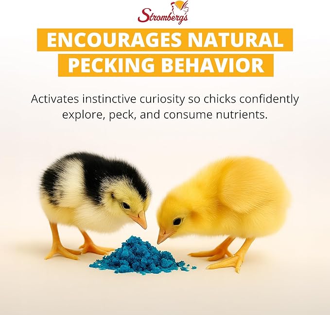 Stromberg's Peck n' Grow, Balanced Hatchling Nutrition Supplement with Probiotics and Essential Vitamins, Instinct-Promoting Chick Starter Formula for Strong Early Growth, 7.05 oz Pack for 2500 Chicks