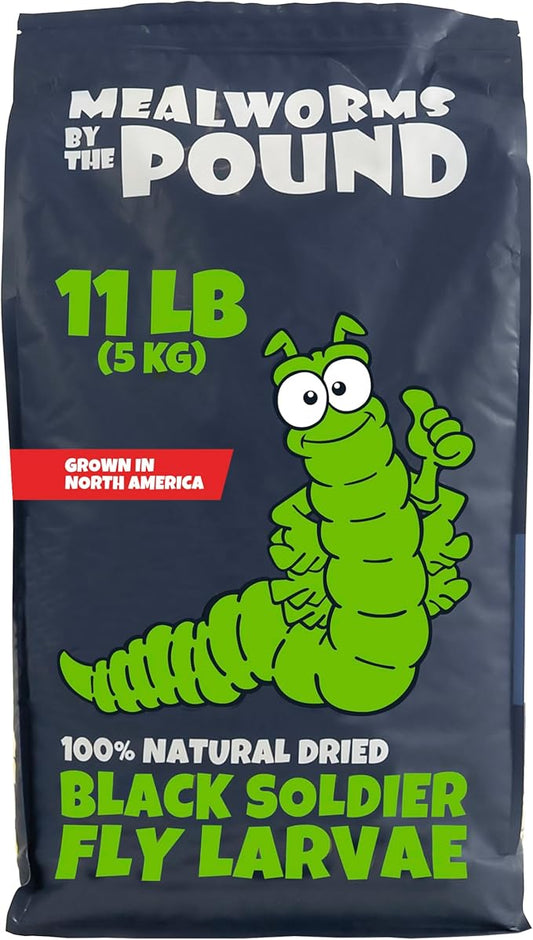 North American Grown Dried Black Soldier Fly Larvae (11 lbs) - More Calcium Than Mealworms - Treats for Chickens, Wild Birds, & Reptiles