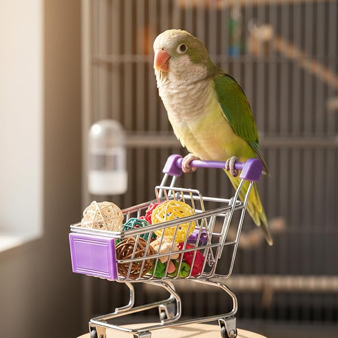 Hypeety Bird Toys Mini Shopping Handcart Trolley Parrot Intelligence Training and Playing Toy for Parakeets Budgies Cockatiel Conures Caique Quaker Lovebirds (Purple)