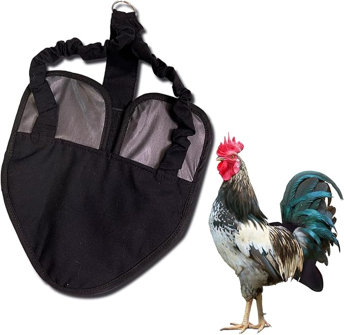 Hen Holster Premium Starter Kit - Bird Diaper, Wrap Around for Hens, Roosters, Ducks - Leak-Proof, Comfortable Bird Harness with Sewn-in Liner, Secure Hook & Loop Closure - S/M, Black