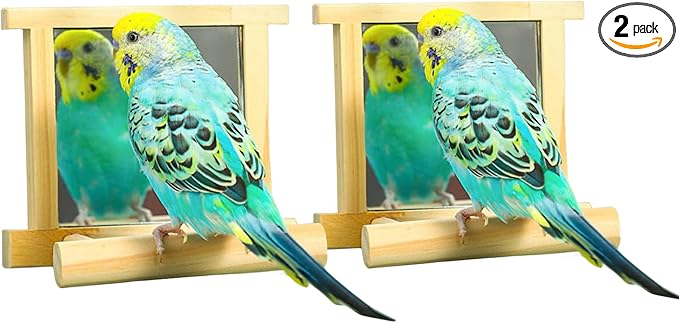 Natural Wood Bird Stand with Mirror, Perch and Swing Toy for Parakeets, Hummingbird, Lovebirds and Cockatoos (2 Pack)