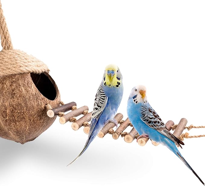 andwe Coconut Bird Nest Hut with Ladder for Parrots Parakeet Conures Cockatiel - Small Animals House Pet Cage Habitats Decor