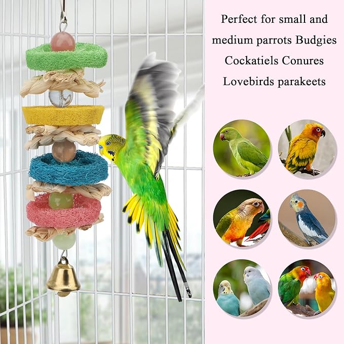 Hypeety Pet Bird Parrot Swing Chewing Toy Natural Sepa Takraw with Happy Twist Colorful Bead Swing Bell