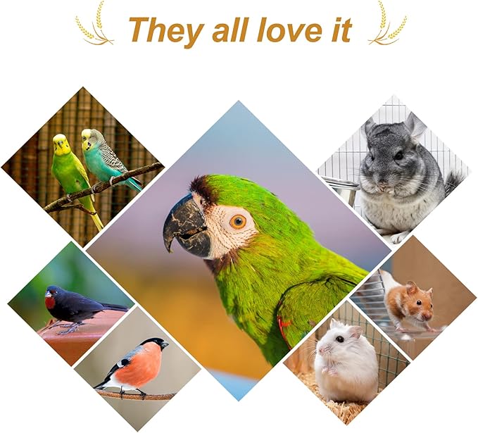 Amzey 5.5LB Spray Millet for Parakeets, 100% Natural Sun-Dried Healthy Bird Treat, Non-GMO High Protein Fresh Millet Spray for Parrots, Cockatiel, Finches & Lovebirds
