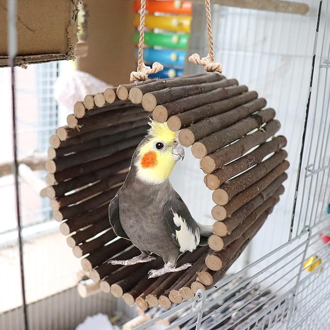 Natural Apple Wood Parrot Hammock & Tree Caves - Bird Cage Accessories for Little Bird, Parakeets, Cockatiels, Lovebirds & Hamsters (6.49" Diameter)