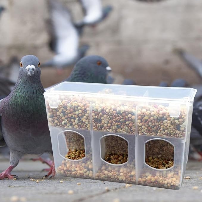 Automatic Pigeon Bird Feeder for Cage Feeding Station Bowl, Quail Feeder Hanging Parrot Feeder for Canary Parakeet Budgerigar, Three Hole
