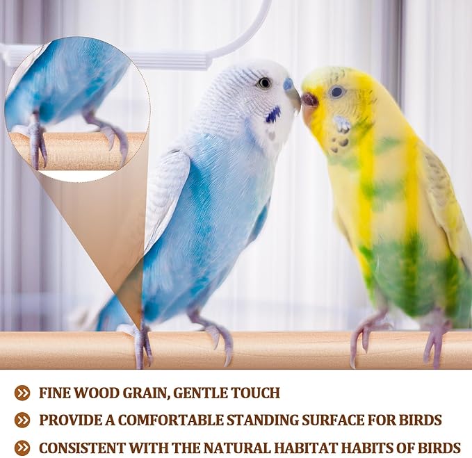 Sintuff 8 Pcs Bird Perches for Cage Accessories, Wooden Perch Rods Replacement with Double Head Slots, 0.6 Inch Diameter Natural Wood Stand for Parrot Macaw Cockatoo Parakeet (18 Inches,24 Inches)