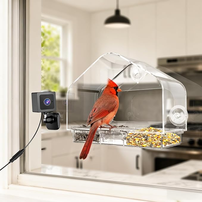 Smart Window Bird Feeder with 2K Camera & AI Identification, Strong Suction Cup Mount, All-Weather Design, Real-Time Alerts, Easy to Install, for Apartments & Homes, for Bird Lovers