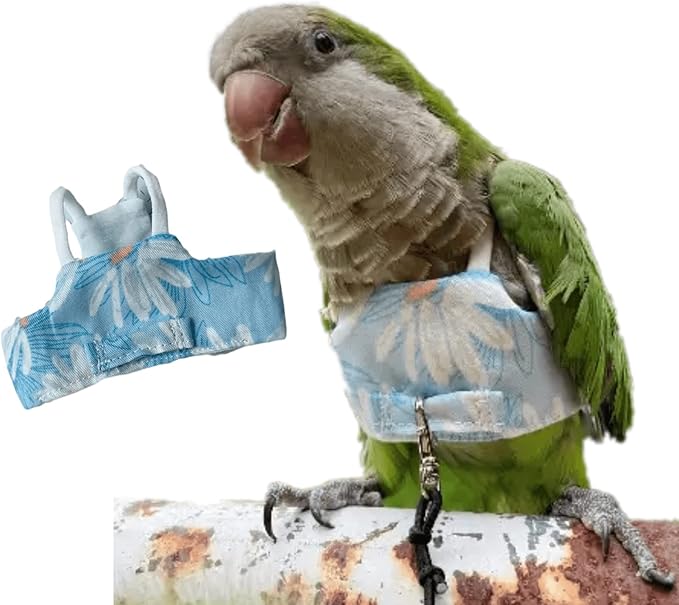 Bird Flight Harness Vest, Parrot Flight Suit with Leash for Parakeets Cockatiels, Bird Flying Clothes with Rope and Handle for Outdoor Activities Training (Blue Without Leash,Large)
