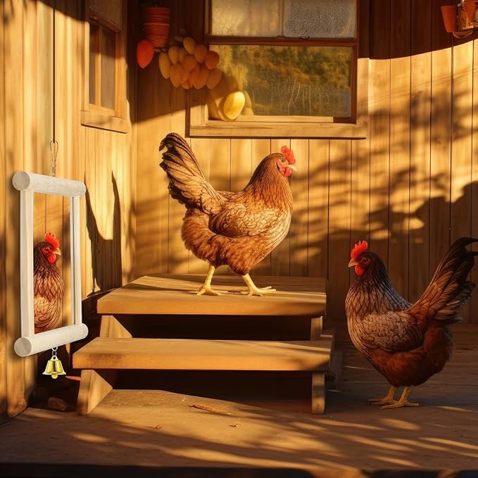 Sadnyy Extra Large Chicken Mirror Toys Hanging Swing Double Side Mirror with Bell Wooden Pecking Toy for Hens Birds Parrots Coop Roosters Enrichment Toy for Poultry(Square, Wood, 1pcs)