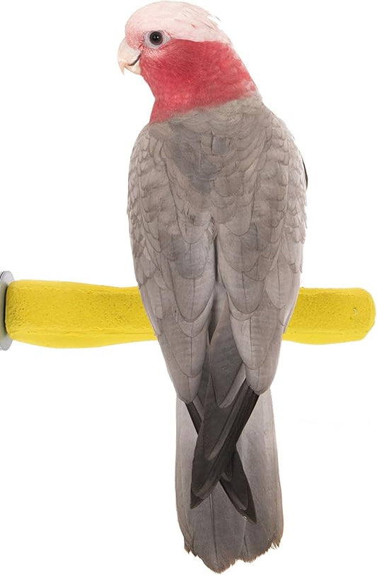 Sweet Feet and Beak Comfort Grip Safety Perch for Bird Cages - Pedicure Perch for Birds to Keep Nails and Beaks in Top Condition - Safe Easy to Install Bird Cage Accessories M 8.5" - Yellow