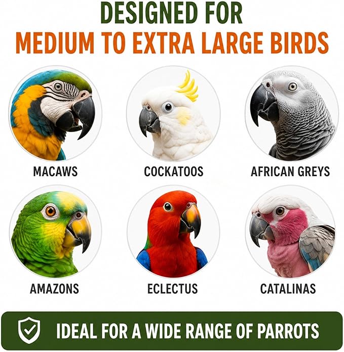 Bird Toys for Large Birds (Ele-Waiter) | Treat Dispenser | Foraging Bird Toys for Parrots, Cockatiel, Cockatoos & Macaws | Durable Cage Accessories for Medium to Extra Large Birds | Macaw Enrichment