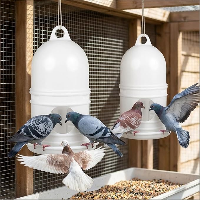Bird Feeding Dispenser Pigeon Water Dispenser - 2pcs Birds Plastic Waterer Plastic Drinker with Handle for Pigeon Birds, Automatic Feeders (1L, White) Pet Drinker