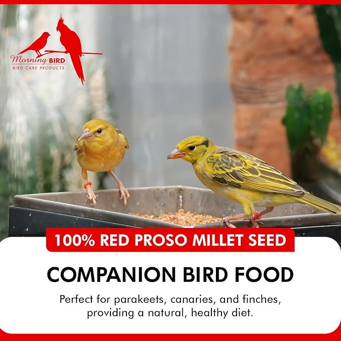 Morning Bird Red Proso Millet 4.5 lbs (3-Pack, 1.5 lbs Each) – Natural Bird Seed – Supports Feather Growth & Balanced Nutrition – Great Flavor, Energy Dense - Ideal for Finches, Parakeets & Pet Birds
